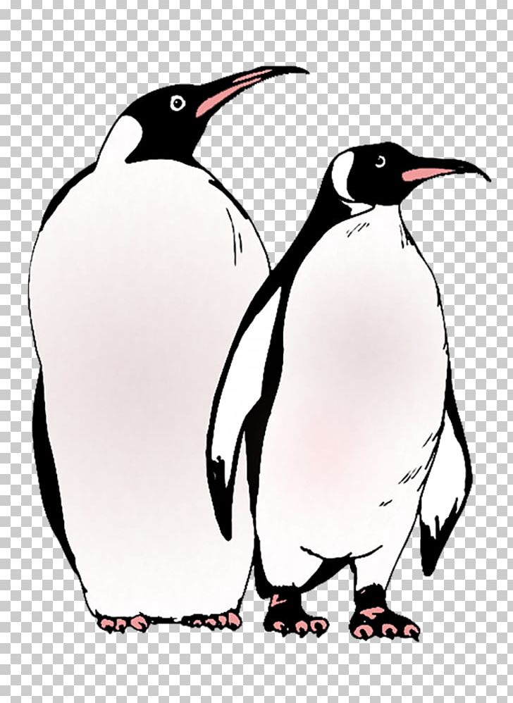 The Penguin Emperor Penguin Coloring Book PNG, Clipart, Adult, Animal, Animals, Beak, Bird Free PNG Download