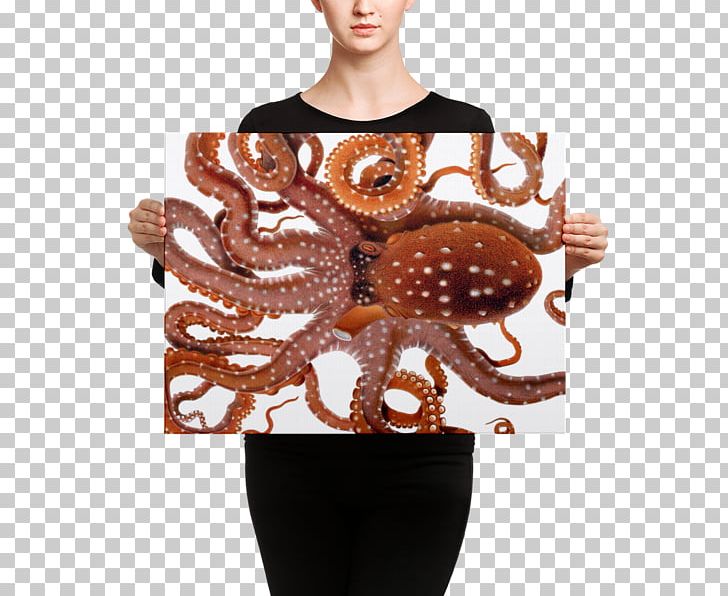 Octopus Neck Blanket Mouse Mats PNG, Clipart, Blanket, Cephalopod, Giuseppe Jatta, Invertebrate, Mouse Mats Free PNG Download