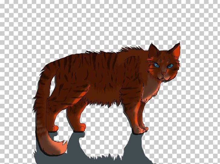 Whiskers Cat Flametail Red Fox Art PNG, Clipart, Animals, Art, Canidae, Carnivoran, Cat Free PNG Download