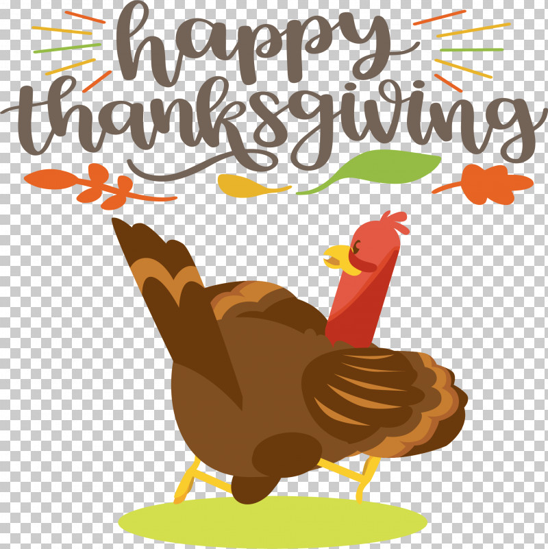 Happy Thanksgiving Turkey PNG, Clipart, Beak, Biology, Birds, Chicken, Happy Thanksgiving Free PNG Download