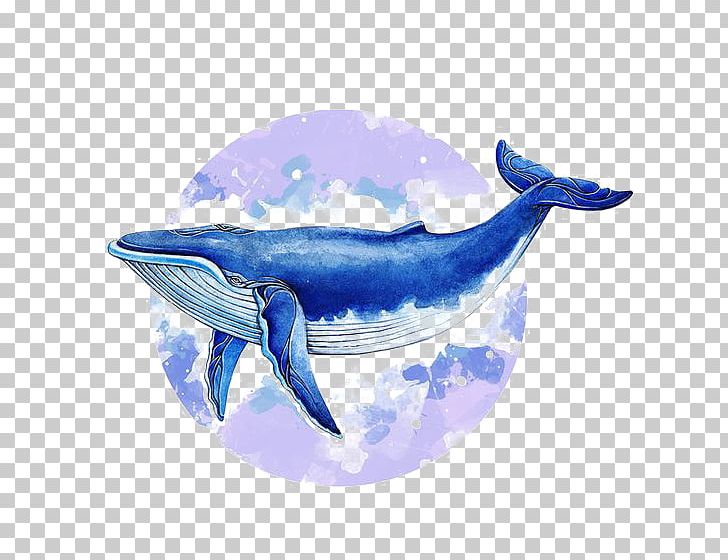 Blue Whale Baleen Whale Illustrator Illustration PNG, Clipart, Animal, Blue, Cartoon, Cetacea, Electric Blue Free PNG Download