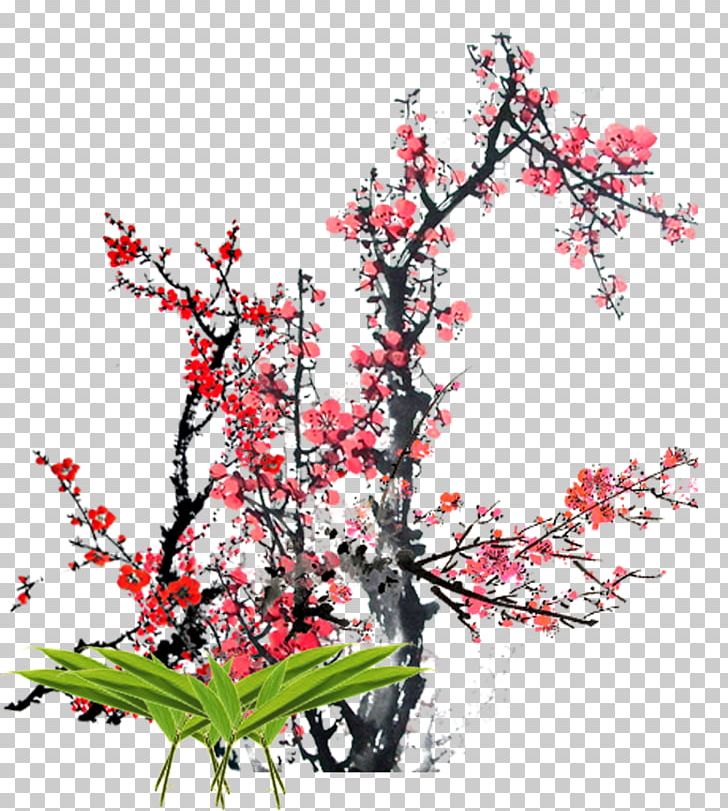 Chinese New Year Plum Blossom Floral Design PNG, Clipart, Ameixeira, Blossom, Branch, Cherry Blossom, Cut Flowers Free PNG Download