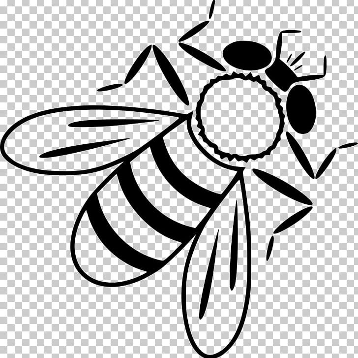 Honey Bee Insect Worker Bee PNG, Clipart, Animals, Artwork, Bee, Black And White, Butterflies And Moths Free PNG Download