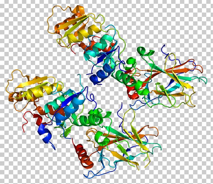 TP53BP1 Protein Cancer Tumor Suppressor Gene PNG, Clipart, Area, Bind, Brca1, Cancer, Cancer Cell Free PNG Download