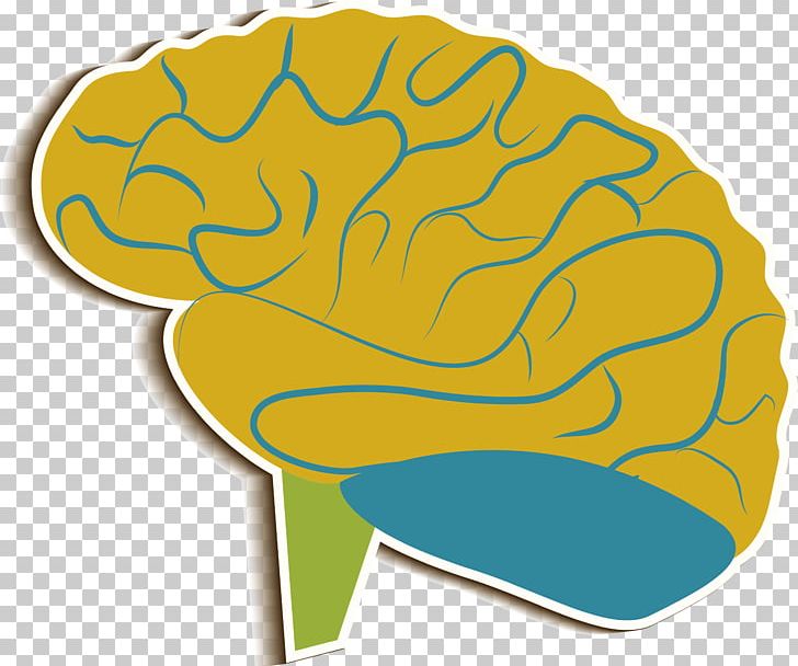 Brain Cerebrum PNG, Clipart, Area, Biological Medicine, Biomedical, Biomedical Advertising, Biomedical Cosmetic Surgery Free PNG Download