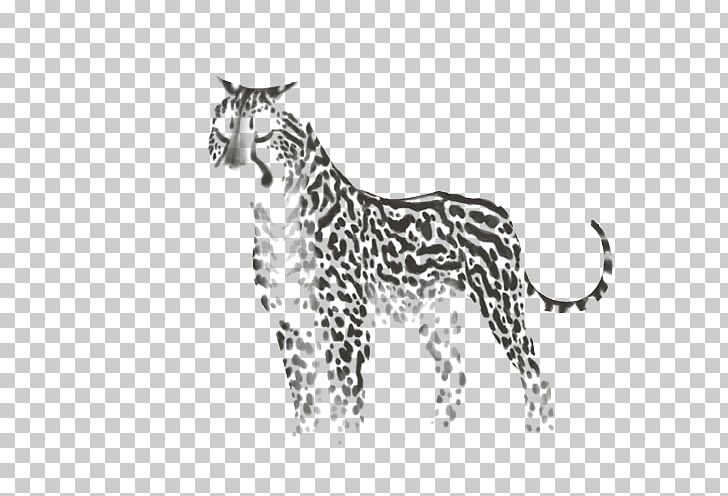 Leopard Whiskers Tiger Cat Felidae PNG, Clipart, Animals, Asiatic Cheetah, Big Cat, Big Cats, Carnivoran Free PNG Download
