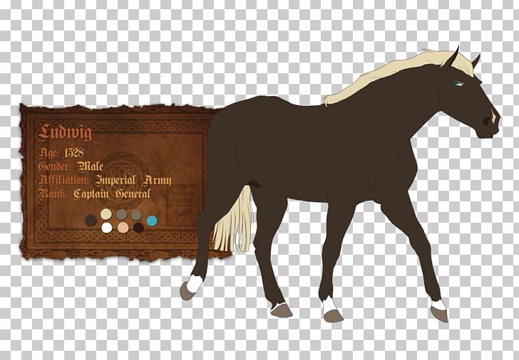 Stallion Mustang Pony Rein Mare PNG, Clipart, Bridle, Halter, Horse, Horse Harness, Horse Harnesses Free PNG Download