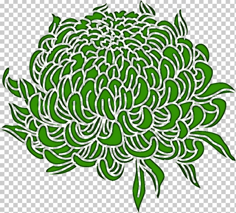 Chrysanthemum Chrysanths PNG, Clipart, Chrysanthemum, Chrysanths, Floral Design, Flower, Green Free PNG Download
