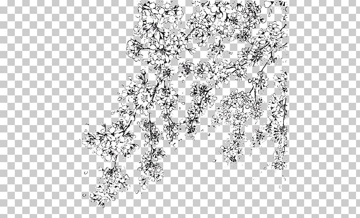 Cherry Blossom Color White Transparent PNG, Clipart, Area, Black, Black And White, Blossom, Branch Free PNG Download