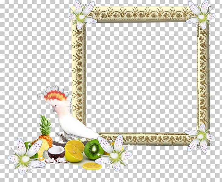 Frames Preview Teth PNG, Clipart, Bird, Border, Chicken, Download, Flora Free PNG Download