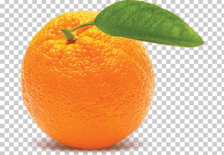 Orange Desktop Fruit PNG, Clipart, Adana, Bitter Orange, Chenpi, Citric Acid, Citrus Free PNG Download