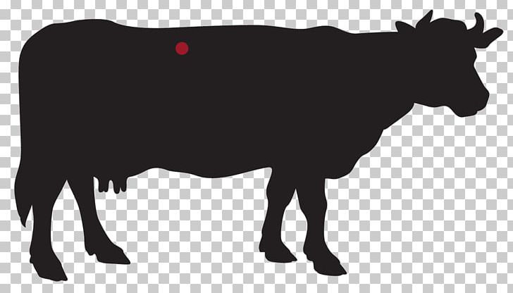Beef Cattle Succade T-bone Steak PNG, Clipart, Beef, Beef Cattle, Black And White, Cow Goat Family, Dairy Free PNG Download