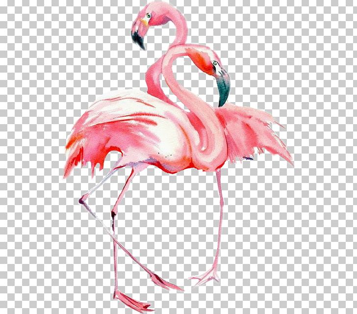 Bird Watercolor Painting Drawing Flamingos PNG, Clipart, Animal, Animals, Art, Beak, Bird Free PNG Download