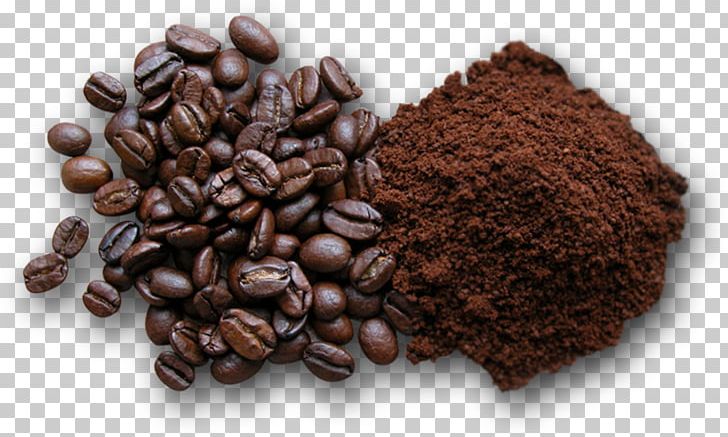 Coffee Bean Instant Coffee Espresso Powder PNG, Clipart, Baking, Bean, Caffeine, Chocolate, Cocoa Bean Free PNG Download