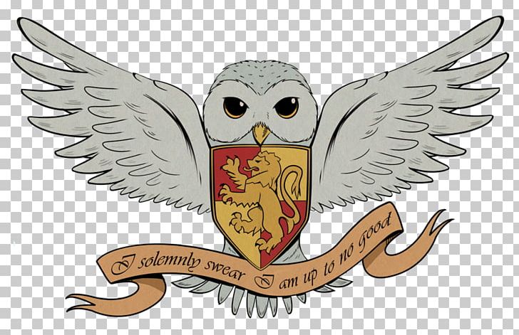 Harry Potter And The Deathly Hallows Hedwig Drawing PNG, Clipart, Animation,  Art, Beak, Bird, Bird Of