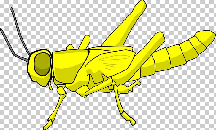 Insect Locust Grasshopper PNG, Clipart, Animals, Artwork, Australian Plague Locust, Black And White, Bug Free PNG Download