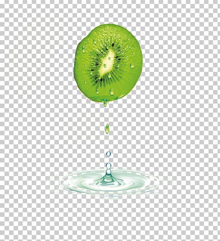 Kiwifruit Auglis PNG, Clipart, Actinidia Deliciosa, Auglis, Delicious, Delicious Food, Delicious Vector Free PNG Download