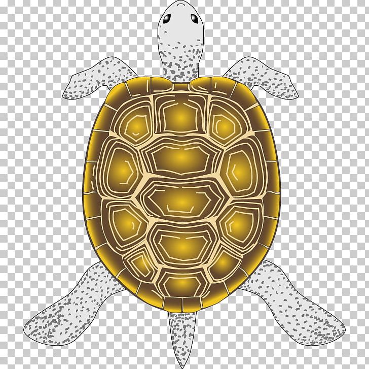 Tortoise Robot Operating System Turtle Robotics PNG, Clipart, Animals, Computer Icons, Emydidae, Fruit, Loggerhead Sea Turtle Free PNG Download