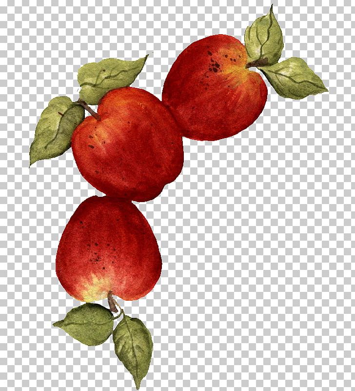 Apple Fruit Drawing Food PNG, Clipart, Accessory Fruit, Apple, Branch, Canvas Print, Decoupage Free PNG Download