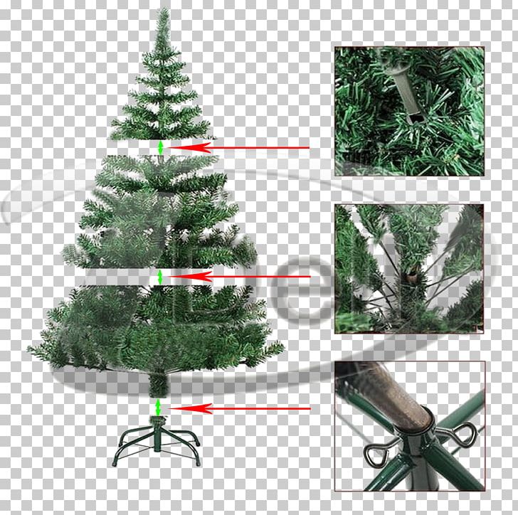 Christmas Tree Fir Spruce Pine PNG, Clipart, Christmas, Christmas Decoration, Christmas Ornament, Christmas Tree, Conifer Free PNG Download
