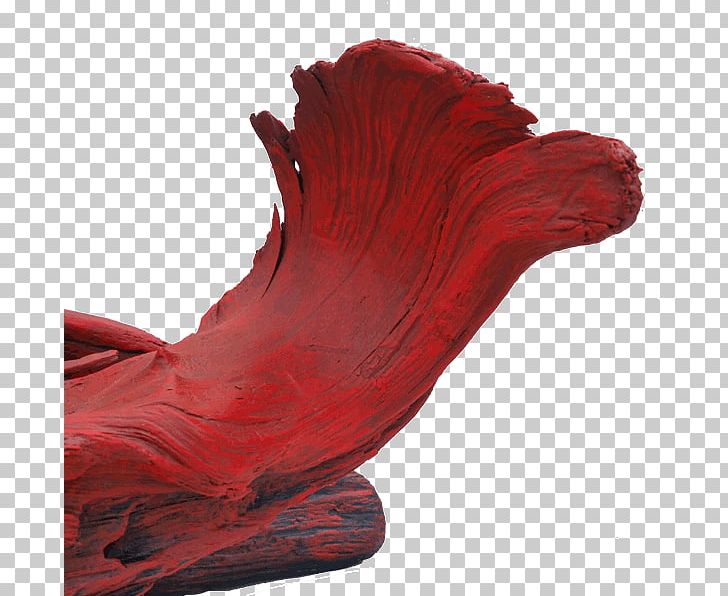 Shoe PNG, Clipart, Driftwood, Others, Red, Shoe Free PNG Download