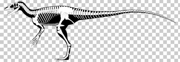 Megaraptor Australovenator Aerosteon Dinosaur Utahraptor PNG, Clipart, Aerosteon, Allosaurus, Animal, Animal Figure, Australovenator Free PNG Download
