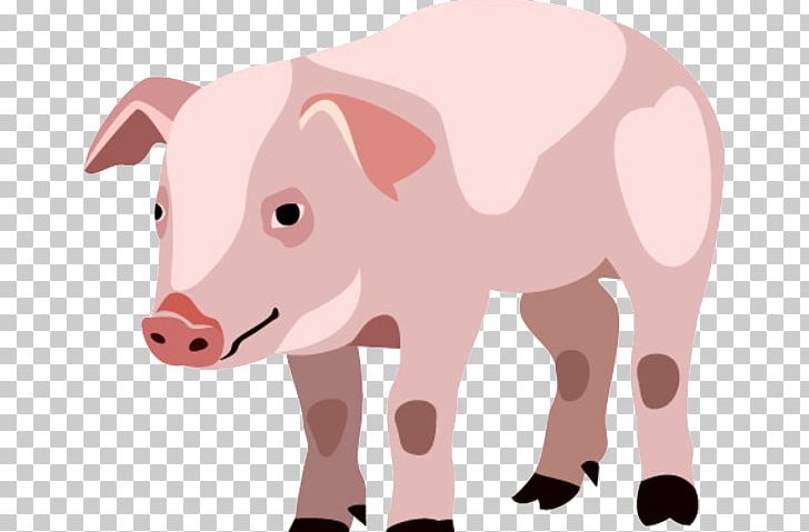 Piglet Domestic Pig Cartoon PNG, Clipart, Animal, Animals, Animation, Balloon Cartoon, Boy Cartoon Free PNG Download