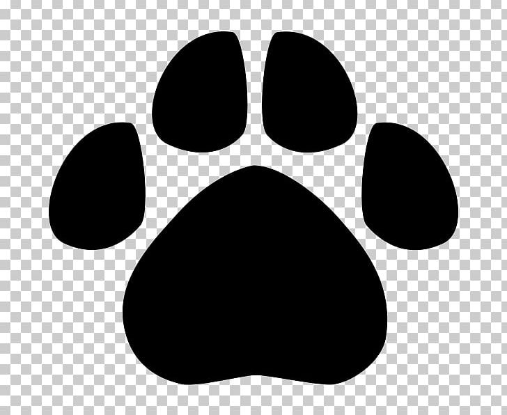 Dog American Black Bear Jaguar Cat PNG, Clipart, American Black Bear, Animal, Animal Footprints, Animal Print, Animal Track Free PNG Download