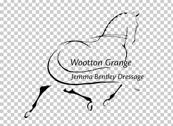 Dressage Horse Equestrian Show Jumping Collection PNG, Clipart, Angle, Animals, Area, Arm, Art Free PNG Download