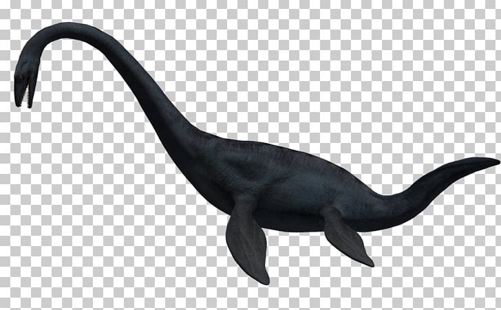 Elasmosaurus Plesiosauria Dinosaur Mosasaurus Mauisaurus PNG, Clipart, Animal, Animal Figure, Animals, Apatosaurus, Argentinosaurus Free PNG Download