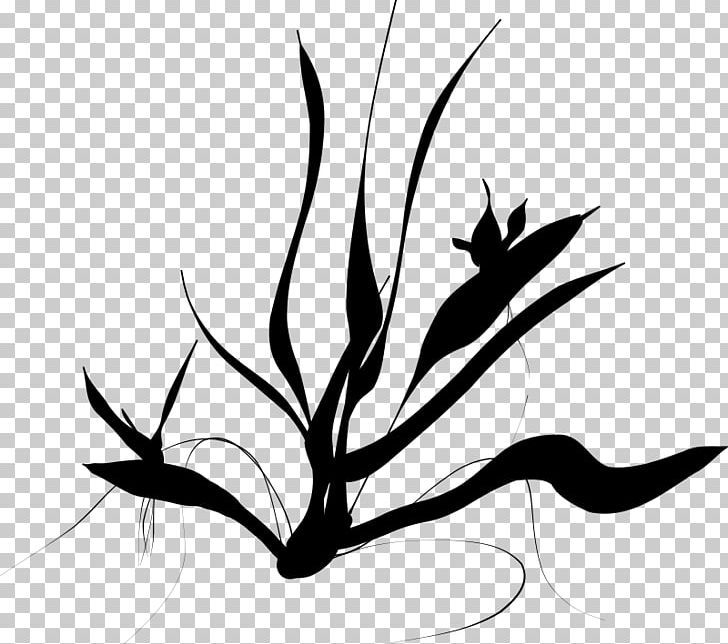Line Art PNG, Clipart, Animals, Art, Artwork, Black And White, Branch Free PNG Download