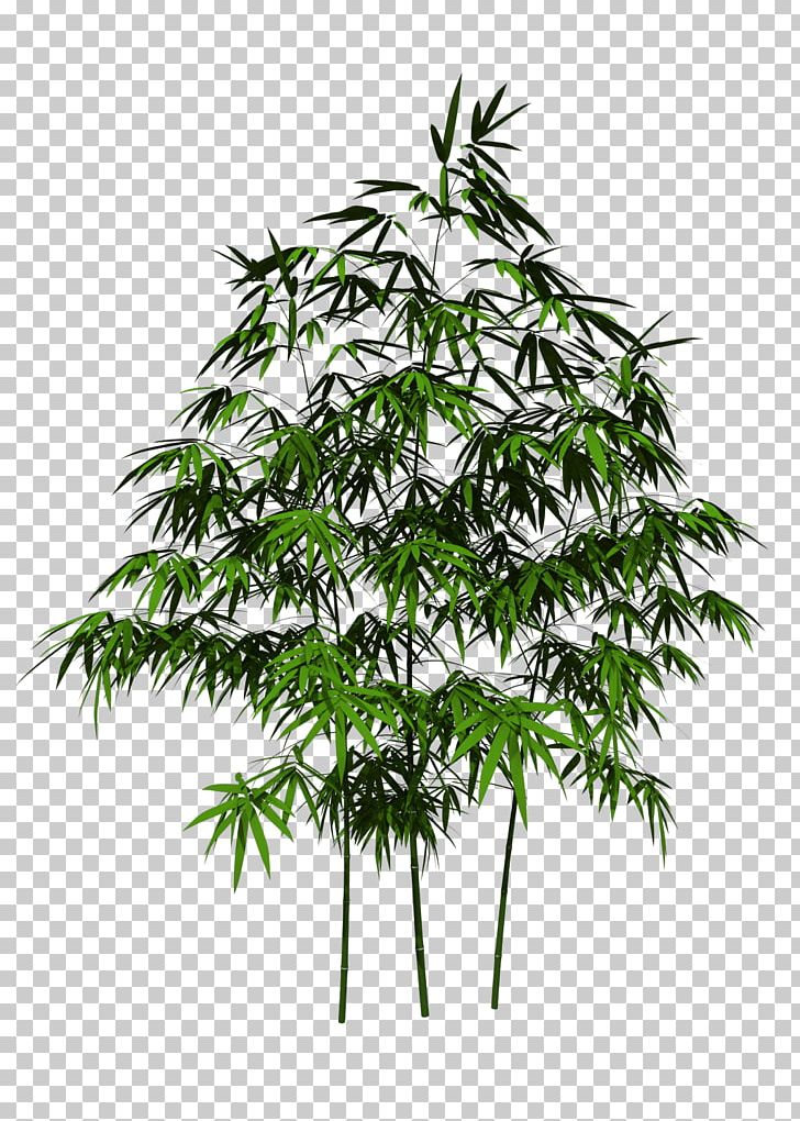 Bamboo Adobe Photoshop Design Plants Portable Network Graphics PNG, Clipart, 3d Modeling, Bamboo, Branch, Facade, Flowerpot Free PNG Download