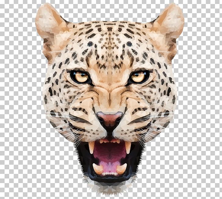 Leopard High-definition Television 4K Resolution PNG, Clipart, 4k Resolution, Animals, Aspect Ratio, Big Cat, Big Cats Free PNG Download