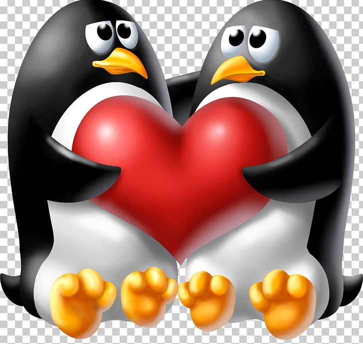 Penguin GIF Animaatio Madagascar PNG, Clipart, Animaatio, Animals, Animated Film, Beak, Bird Free PNG Download