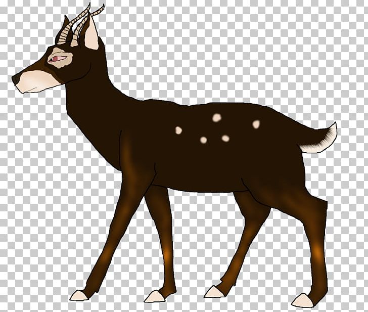 Reindeer Elk White-tailed Deer Musk Deers PNG, Clipart, Animal, Antelope, Antler, Cartoon, Deer Free PNG Download