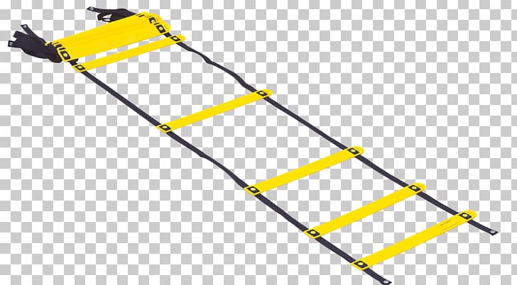 Agility Drill Physical Exercise Exercise Equipment Ladder PNG, Clipart, Aerobic Exercise, Agility, Agility Drill, Crossfit, Crosstraining Free PNG Download