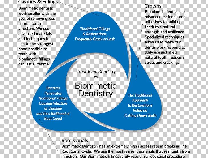 Dentistry Dental Restoration Biomimetics Dental Surgery PNG, Clipart, Area, Biology, Biomimetics, Brand, Crown Free PNG Download