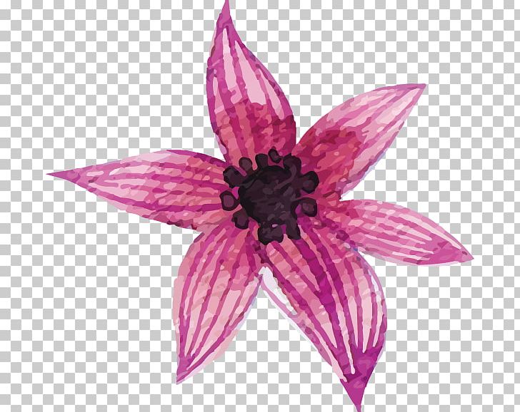 Petal Leaf Euclidean Flower PNG, Clipart, Dahlia, Decorative Patterns, Design, Download, Encapsulated Postscript Free PNG Download