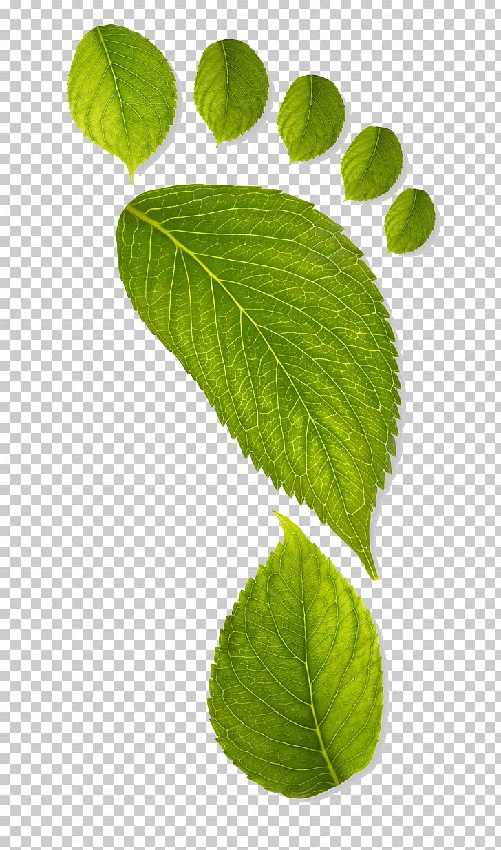 Earth Environmentally Friendly Carbon Footprint Sustainability Green PNG, Clipart, Business, Carbon Footprint, Conservation, Earth, Ecological Footprint Free PNG Download
