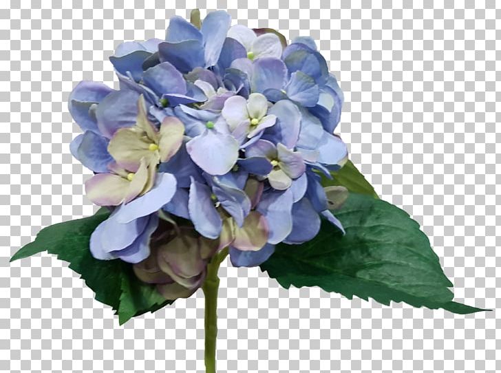Hydrangea Cut Flowers Floral Design Flower Bouquet PNG, Clipart, Blue, Blue Hydrangea, Cornales, Cut Flowers, Delphinium Free PNG Download
