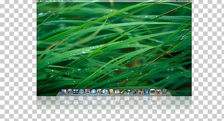Laptop MacBook Desktop Desktop Computers PNG, Clipart, Apple, Computer, Desktop Computers, Desktop Wallpaper, Grass Free PNG Download