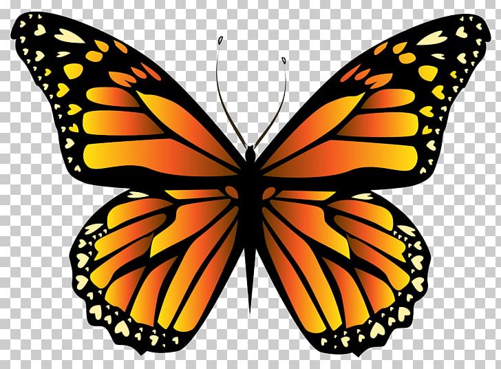 Monarch Butterfly Insect Orange PNG, Clipart, Arthropod, Blue, Brush Footed Butterfly, Butterflies, Butterfly Free PNG Download