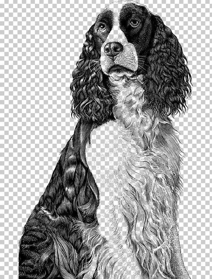 Dog Drawing Scratchboard Illustration PNG, Clipart, Behance, Black, Black Hair, Carnivoran, Companion Dog Free PNG Download