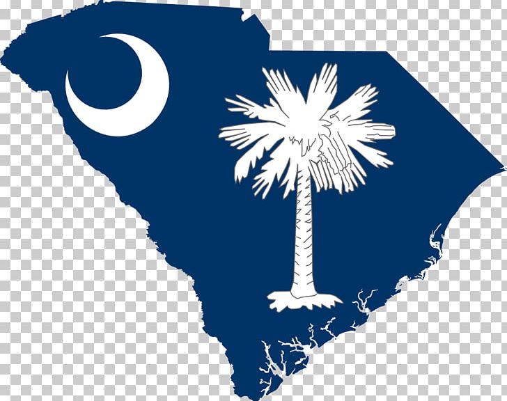 Flag Of South Carolina Flag Of North Carolina PNG, Clipart, Computer Wallpaper, File, Flag, Flag Of North Carolina, Flag Of South Africa Free PNG Download