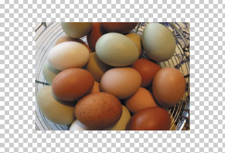 Egg PNG, Clipart, Egg, Food Drinks, Ingredient, Midsummer Free PNG Download