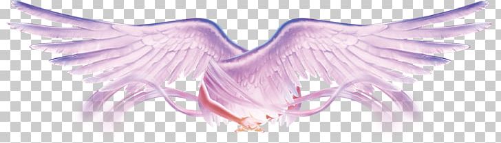 Flight Wing PNG, Clipart, Aile, Angel, Angel Wing, Angel Wings, Aviation Free PNG Download