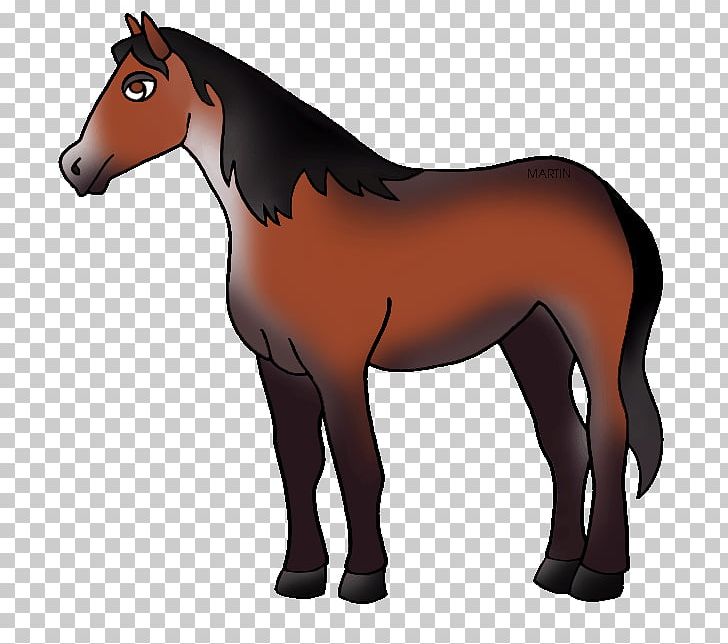 Nokota Horse United States Mule PNG, Clipart, Computer Icons, Donkey, Foal, Free Content, Halter Free PNG Download