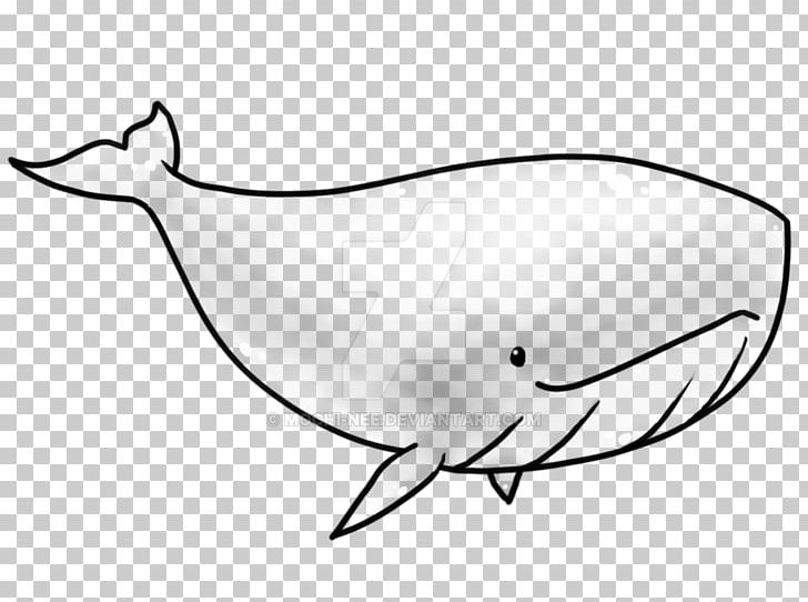 Porpoise Killer Whale Narwhal PNG, Clipart, Animal, Animals, Artwork, Beak, Black And White Free PNG Download