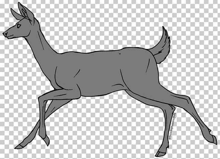Reindeer Elk Musk Deer Antelope PNG, Clipart, Animal, Animals, Antelope, Antler, Black And White Free PNG Download