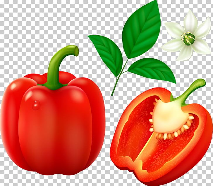 Bell Pepper Cayenne Pepper Chili Pepper Vegetable PNG, Clipart, Bell Pepper, Bush Tomato, Cayenne Pepper, Chili Pepper, Food Free PNG Download